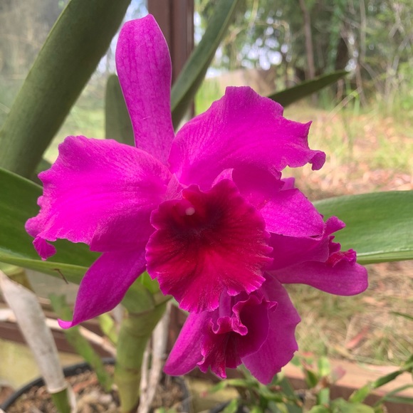 Meet your Posher, Julie - Picture 1 of 1